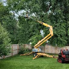 Lawn Irrigation Installation and Maintenance in Valley Springs, CA