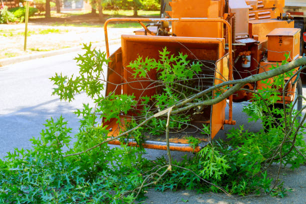 Lawn Grading and Leveling in Valley Springs, CA